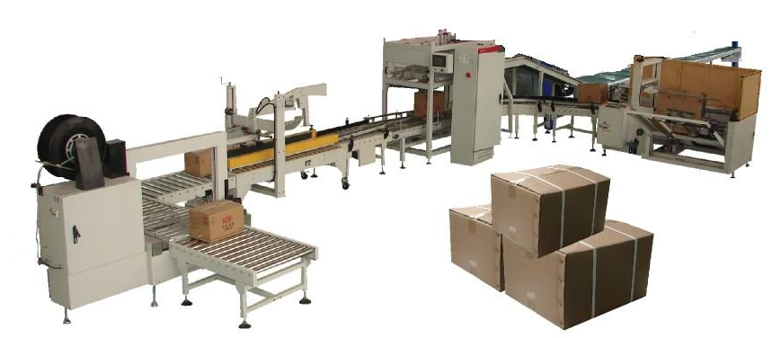 LB450-2 Case packer for pouch and bag
