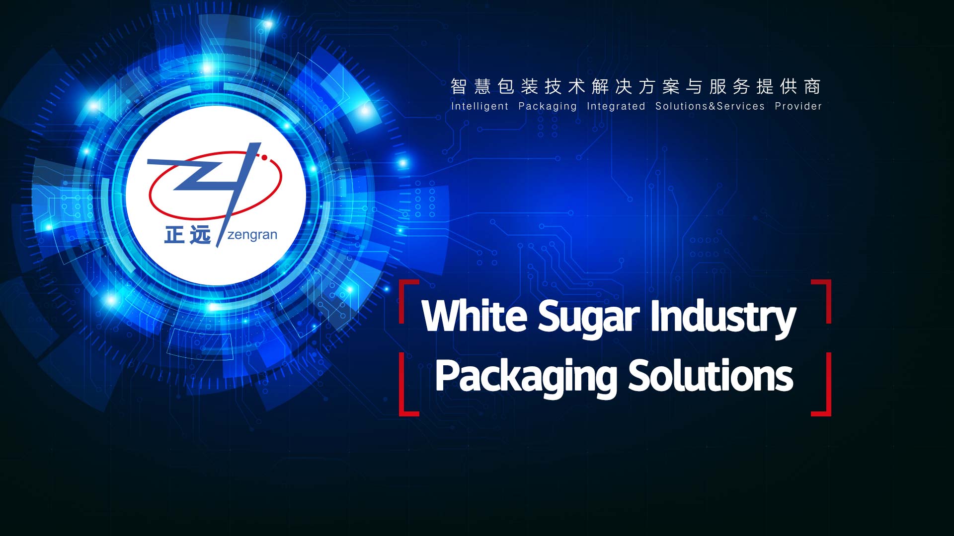 5-50KG White Sugar Packaging Solutions -Automatic Open mouth bagger