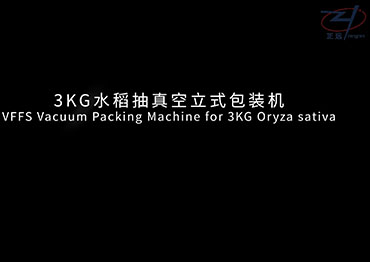 VFFS7300B Vaccum Packing Machine for 3KG Rice