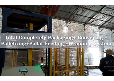Complete Systems (Packing +Conveying +Pallatizing +Pallat Feeding +Wrapping) : 50KG Bird Feed