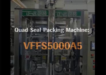 Quad Seal Packing Machine: VFFS5000A5