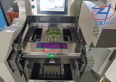 LM 5000SSA I Wrapping Machine: Fruit &Vegetables
