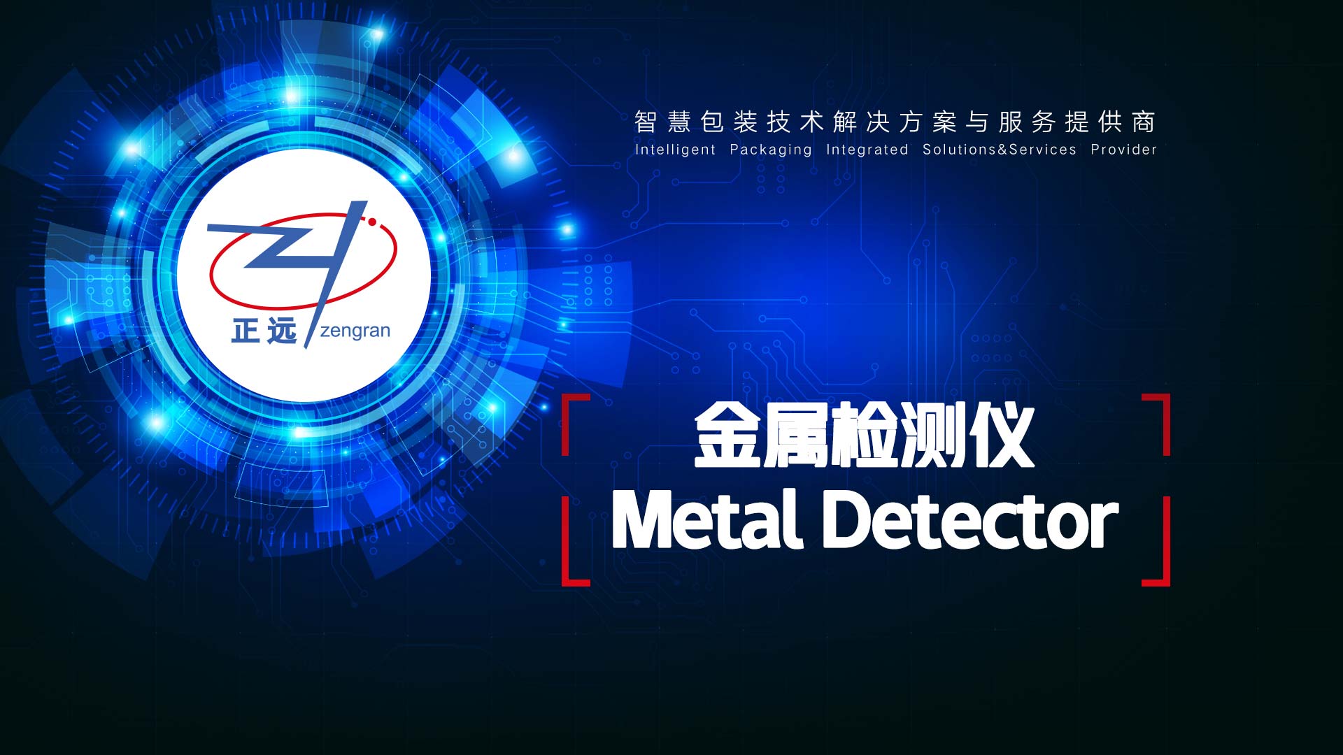 JST3010 Metal Detector Fuction Demo