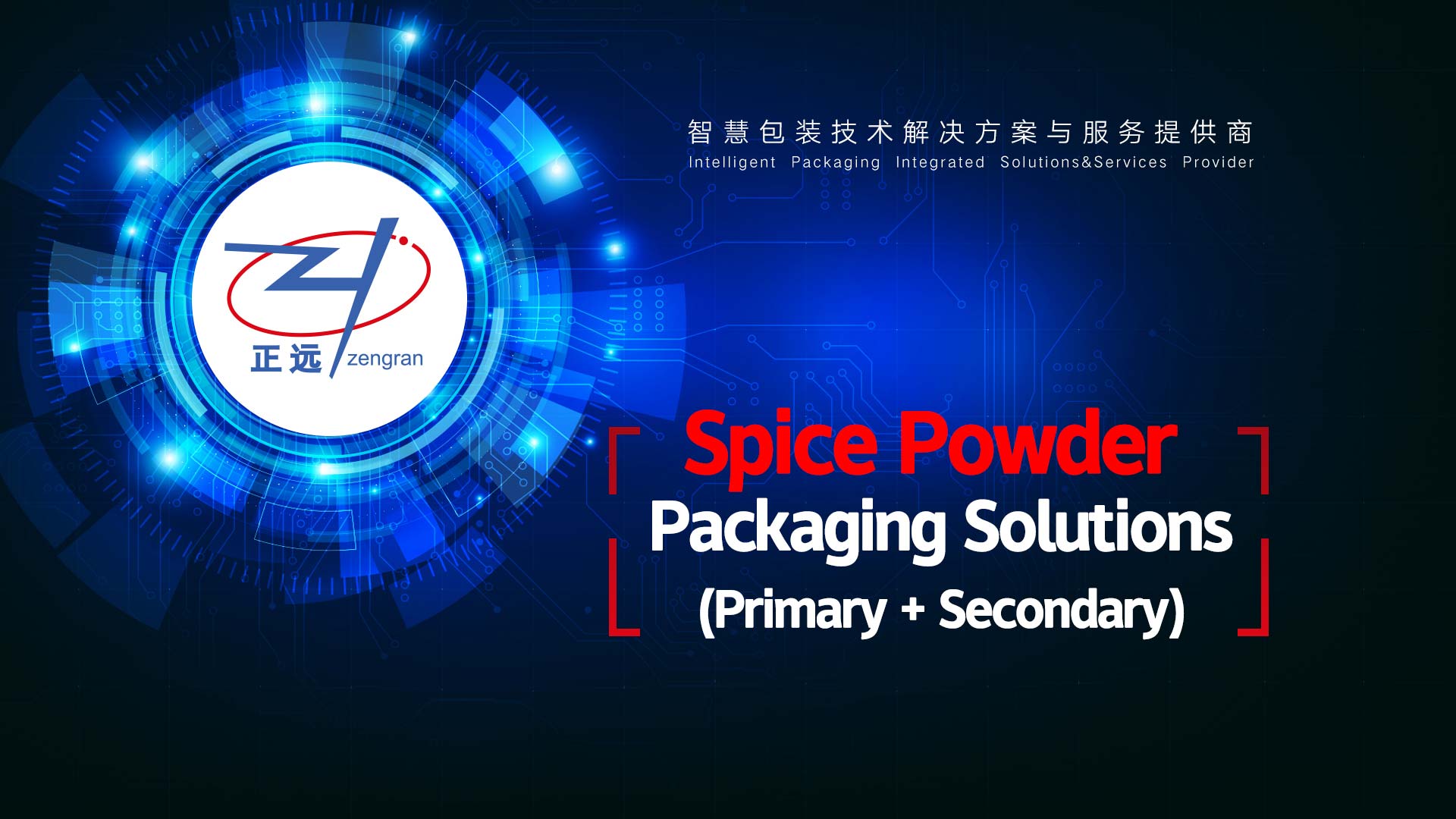Spice Powder Packaging Solutions (Primary and Secondary)